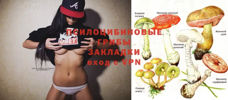 Галлюциногенные грибы MAGIC MUSHROOMS  Иркутск 